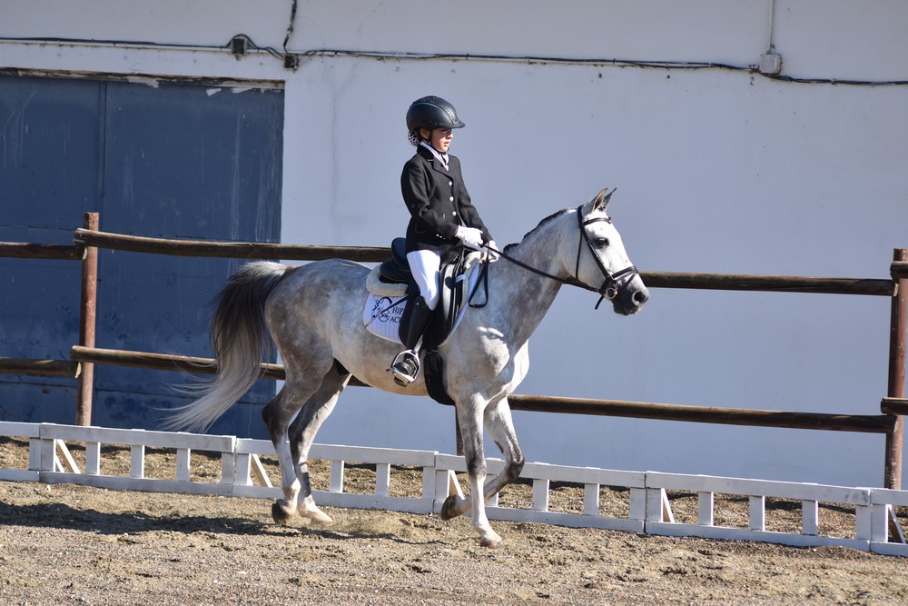 Un sol de justicia acompaña el inicio del Campeonato Navarro de Doma Clásica y Adaptada